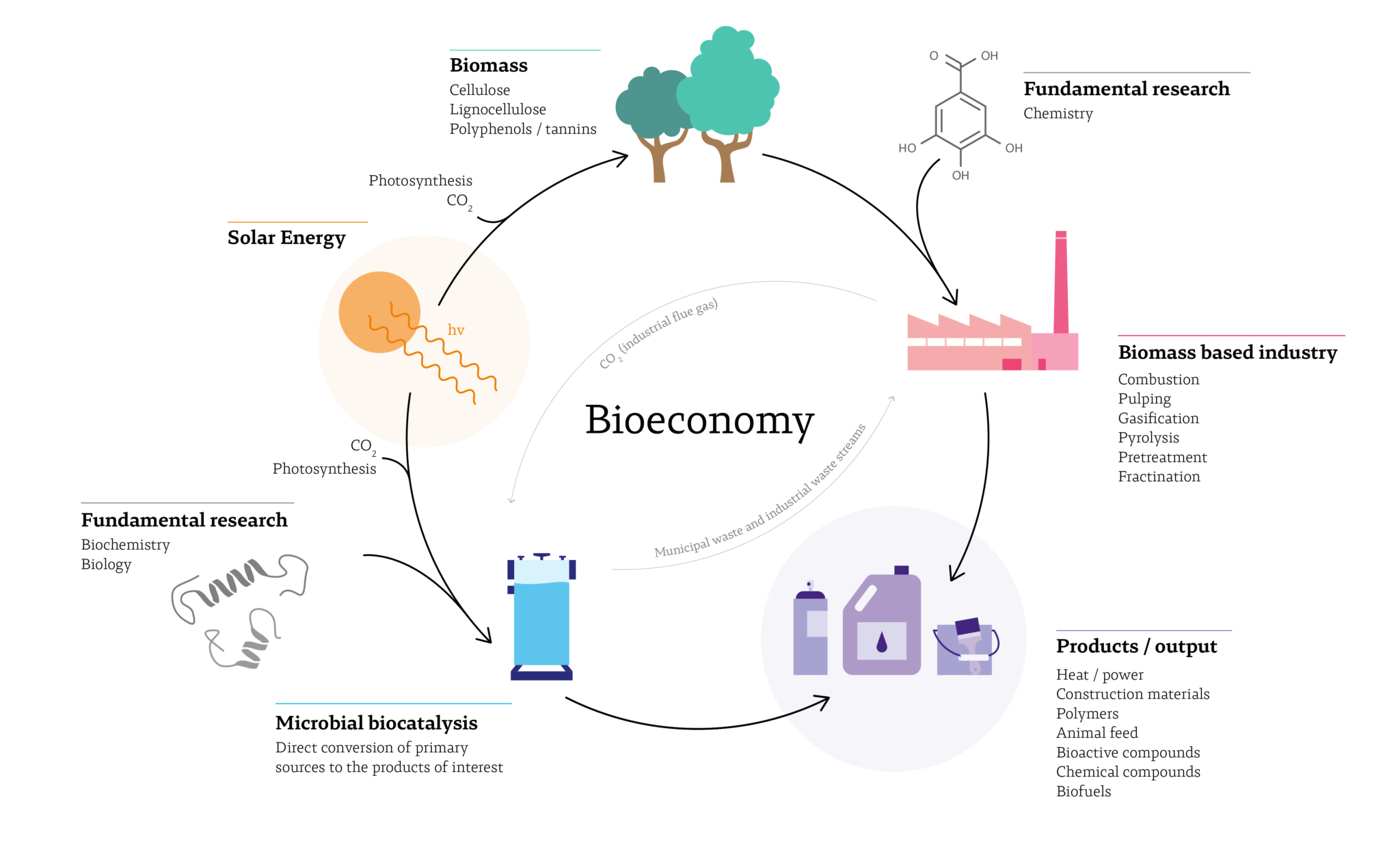 Biosynthesis Research